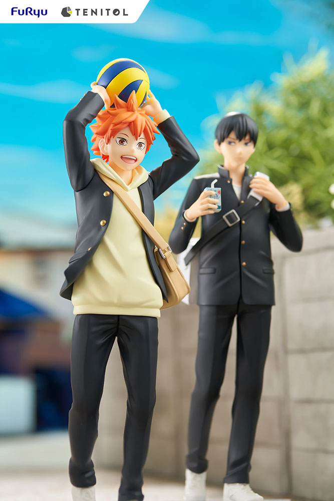 Estatua Tenitol Shoyo Hinata Haikyu!!