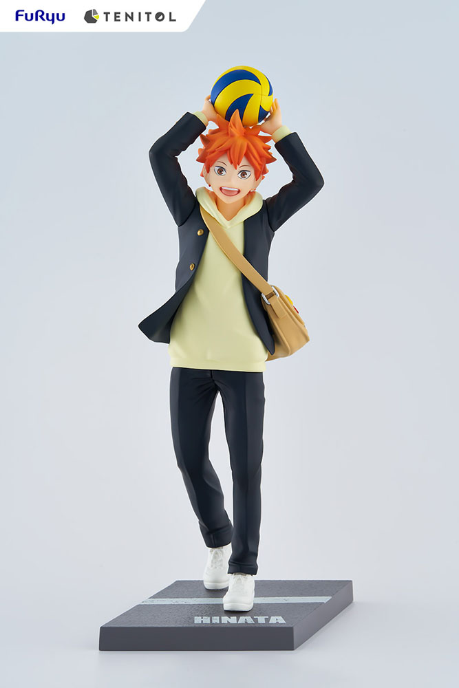 Estatua Tenitol Shoyo Hinata Haikyu!!