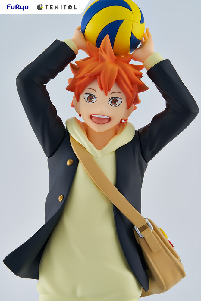 Estatua Tenitol Shoyo Hinata Haikyu!!