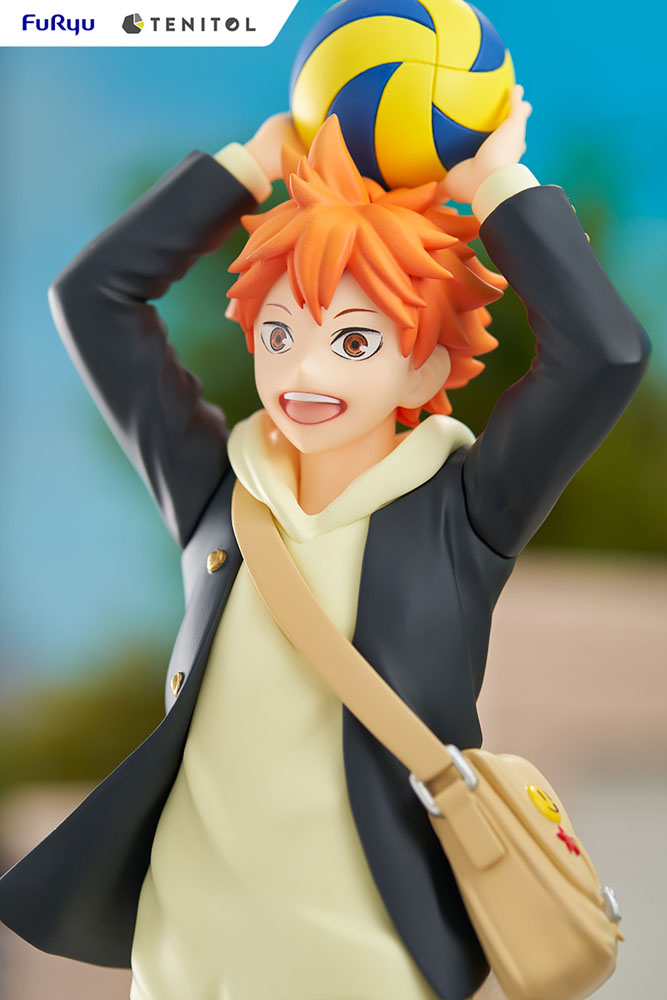 Estatua Tenitol Shoyo Hinata Haikyu!!