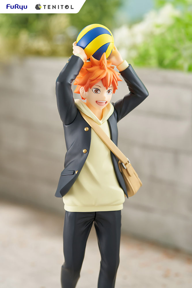 Estatua Tenitol Shoyo Hinata Haikyu!!