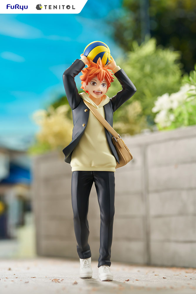 Estatua Tenitol Shoyo Hinata Haikyu!!