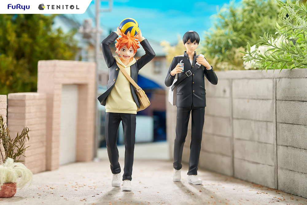 Estatua Tenitol Shoyo Hinata Haikyu!!